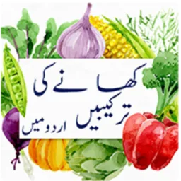 Urdu Recipes app icon